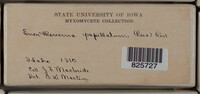 Image Associated With the Occurence